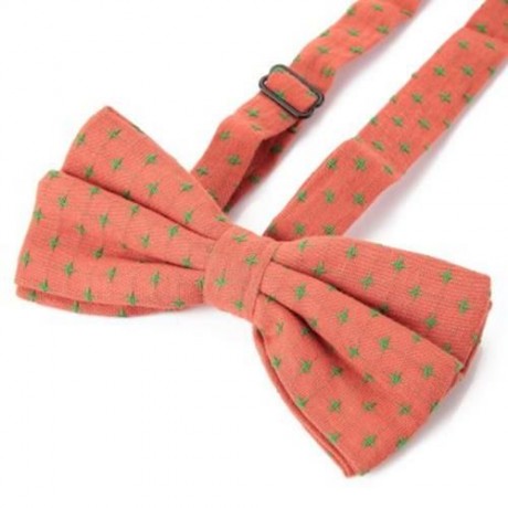 FASHION CASUAL JACQUARD DESIGN MEN BOW TIE FOR WEDDING PARTY (#2)