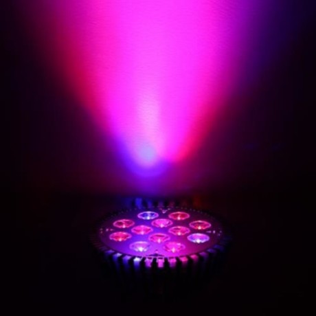 E27 12W 12 LEDS LED GROW LIGHT HYDROPONIC PLANT LAMP (SILVER)