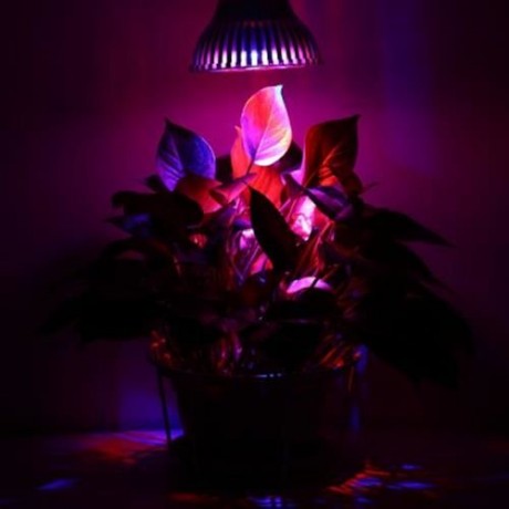 E27 12W 12 LEDS LED GROW LIGHT HYDROPONIC PLANT LAMP (SILVER)