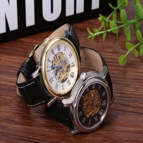 ANGIE LEPELS SERIES MEN AUTO MECHANICAL WATCH 5ATM HOLLOW DIAL ROMAN NUMERALS DISPLAY WRIS