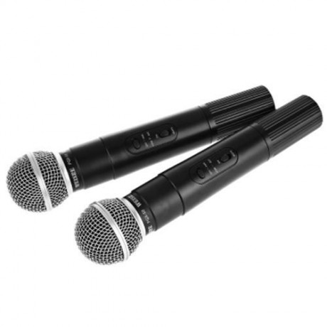 WEISRE PGX - 58 PROFESSIONAL UHF DUAL WIRELESS MICROPHONE MIC SYSTEM FOR KARAOKE PARTY KTV