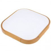 ULTRA-THIN 12W ACRYLIC LED CEILING LIGHT READING LAMP (CHAMPAGNE)