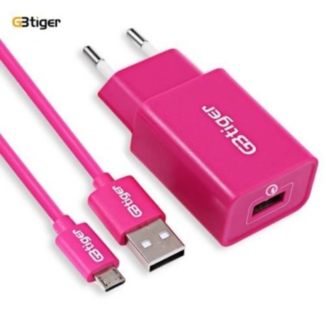 GBTIGER QUALCOMM CERTIFICATED QC 2.0 CHARGER SINGLE OUTPUT (TUTTI FRUTTI)