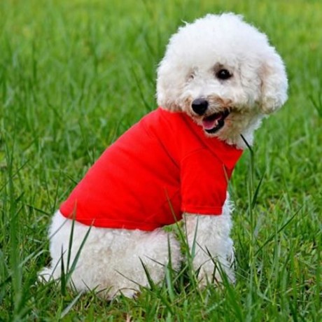 PUPPY KITTY SMALL PET COTTON POLO SHIRT CLOTHES COSTUME APPAREL (RED)
