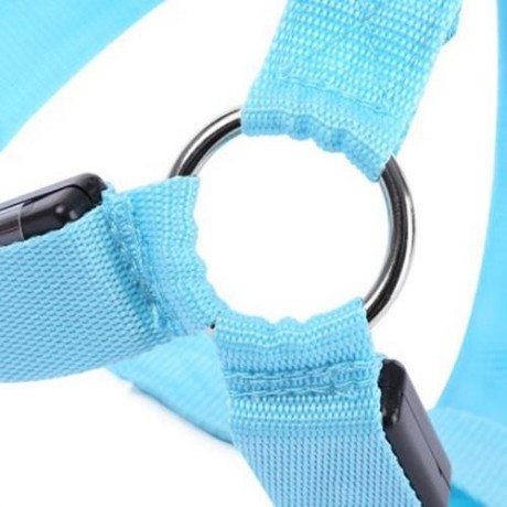 LEDS PET DOG CAT SAFETY COLLAR GLOW FLASH LIGHT BELT LEASH TETHER ROPE (BLUE)