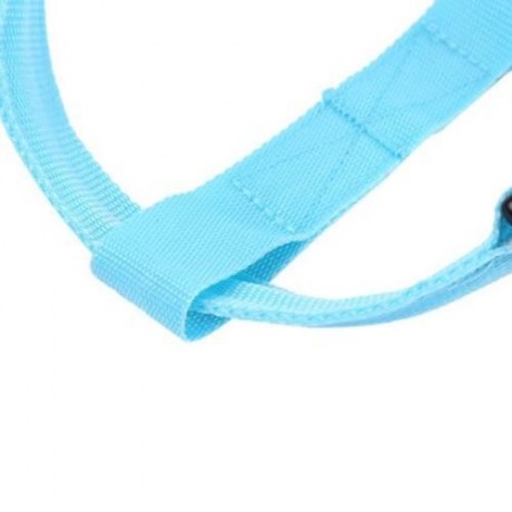 LEDS PET DOG CAT SAFETY COLLAR GLOW FLASH LIGHT BELT LEASH TETHER ROPE (BLUE)