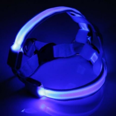 LEDS PET DOG CAT SAFETY COLLAR GLOW FLASH LIGHT BELT LEASH TETHER ROPE (BLUE)