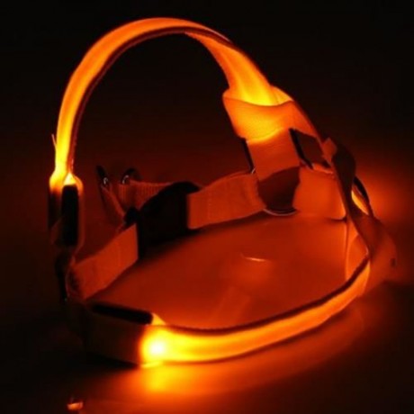 LEDS PET DOG CAT SAFETY COLLAR GLOW FLASH LIGHT BELT LEASH TETHER ROPE (YELLOW)