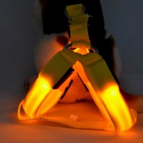 LEDS PET DOG CAT SAFETY COLLAR GLOW FLASH LIGHT BELT LEASH TETHER ROPE (YELLOW)