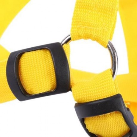 LEDS PET DOG CAT SAFETY COLLAR GLOW FLASH LIGHT BELT LEASH TETHER ROPE (YELLOW)