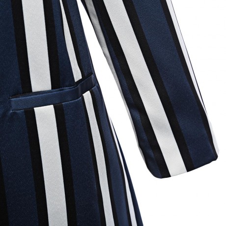 ELEGANT TURN-DOWN COLLAR LONG SLEEVE STRIPED SHEATH (WHITE AND BLUE S/M/L)