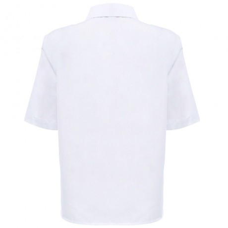 RETRO TURN-DOWN COLLAR HALF SLEEVE EMBROIDERY (WHITE S/M/L)