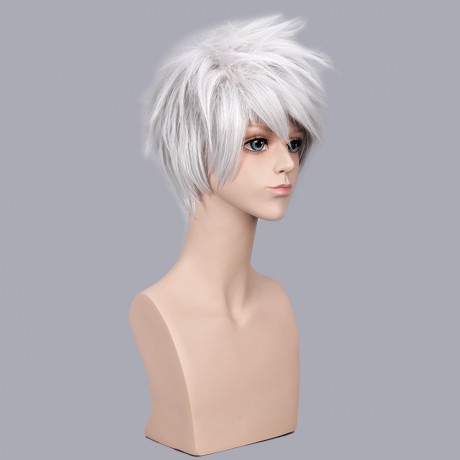 HANDSOME BOY SILVER GREY SHORT ANIME COSPLAY WIGS PARTY COSTUME