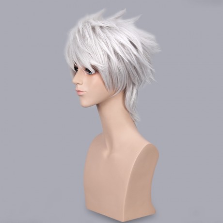 HANDSOME BOY SILVER GREY SHORT ANIME COSPLAY WIGS PARTY COSTUME