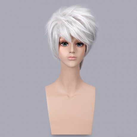 HANDSOME BOY SILVER GREY SHORT ANIME COSPLAY WIGS PARTY COSTUME