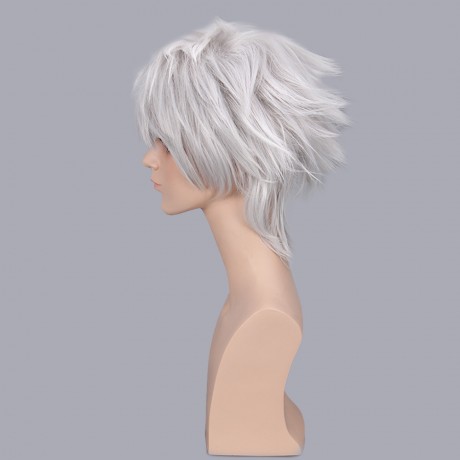 HANDSOME BOY SILVER GREY SHORT ANIME COSPLAY WIGS PARTY COSTUME