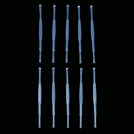10PCS PLASTIC TWO ENDS REMOVER CLEANER CARE TOOL EARPICK (BLUE)