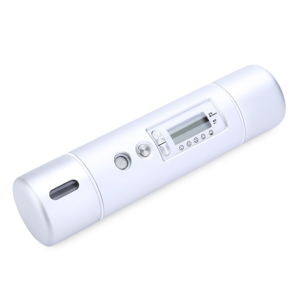 SKIN NEBULIZER MOISTURIZING FACIAL BEAUTY INSTRUMENT ARTIFACT (SILVER)