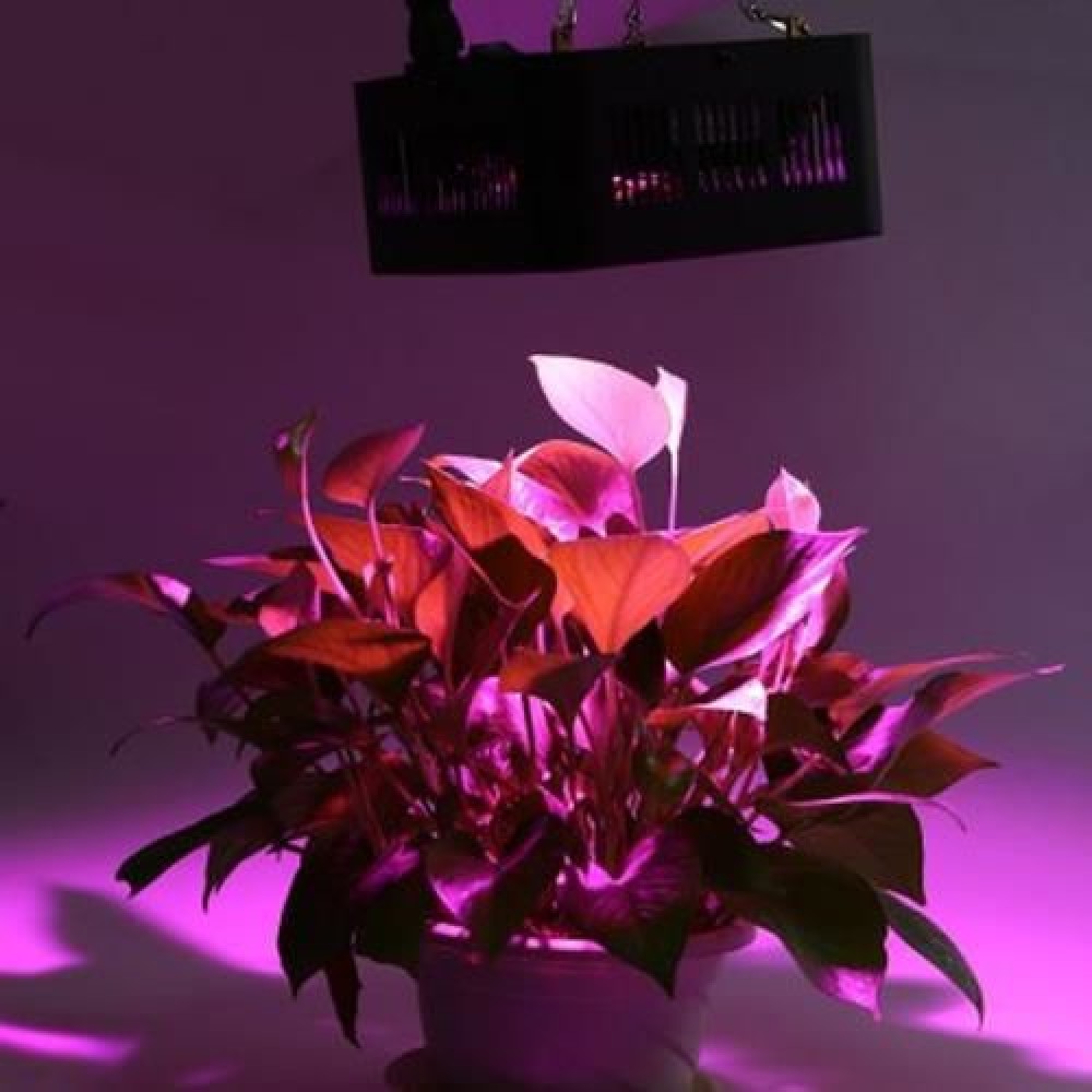 192W ( TRUE 96W ) COB FULL SPECTRUM LED INDOOR PLANT GROW LIGHT (BLACK)