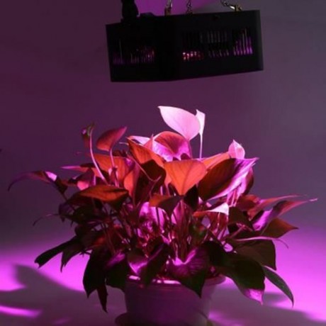 192W ( TRUE 96W ) COB FULL SPECTRUM LED INDOOR PLANT GROW LIGHT (BLACK)