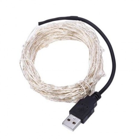 10M 100 LEDS COPPER STRING LIGHT WIRE LED CHRISTMAS LAMP WITH USB (WHITE)