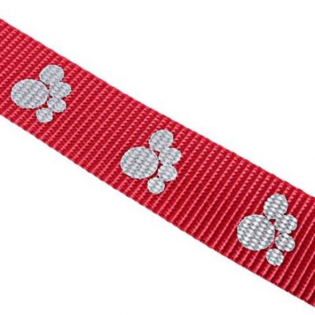 SASSY HEAVY DUTY STRAP DOG LEASH (RED)