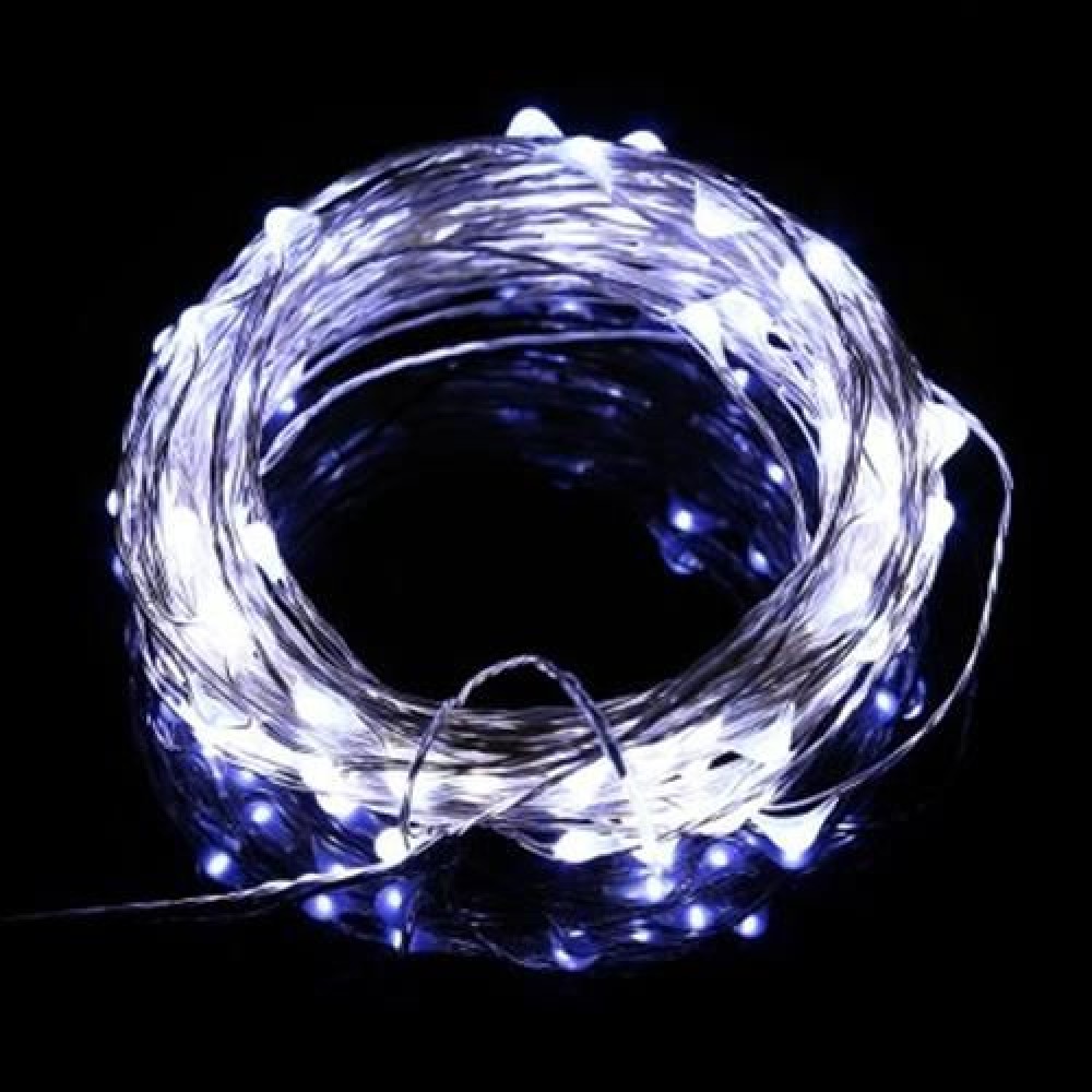 100 LEDS COPPER WIRE STRING FAIRY LIGHT WATERPROOF LED DECORATION LAMP (WHITE)