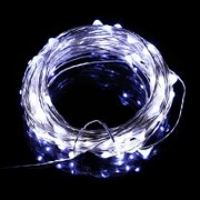 100 LEDS COPPER WIRE STRING FAIRY LIGHT WATERPROOF LED DECORATION LAMP (WHITE)