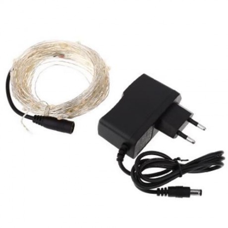 100 LEDS COPPER WIRE STRING FAIRY LIGHT WATERPROOF LED DECORATION LAMP (WHITE)