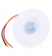 EMBEDDED FULL AUTOMATIC HUMAN BODY INFRARED INDUCTION SWITCH (WHITE, 24V/12V)
