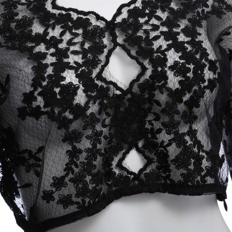 SEXY V-NECK FLARE SLEEVE SEE-THROUGH / TRANSPARENT / EMBROIDERY LACE CROP TOP  (BLACK, SIZ