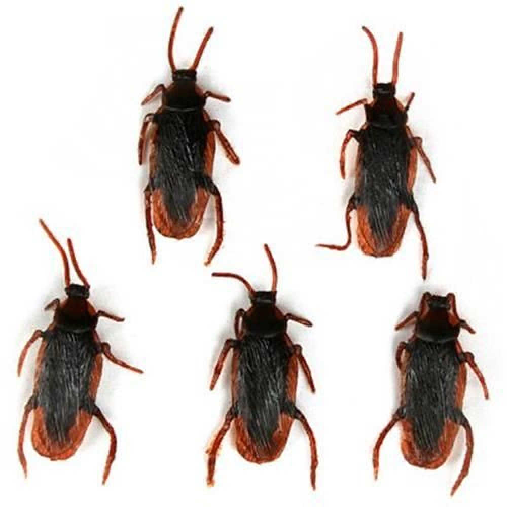 5 PCS/SET APRIL FOOL'S DAY TRICK ARTIFICIAL FAKE COCKROACH VENT BUGS ROACH TOY (DEEP BROWN 5 PCS/SET APRIL FOOL'S DAY TRICK ARTIFICIAL FAKE COCKROACH VENT BUGS ROACH TOY (DEEP BROWN