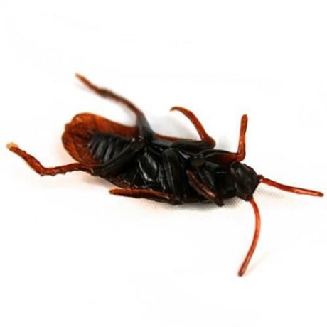 5 PCS/SET APRIL FOOL'S DAY TRICK ARTIFICIAL FAKE COCKROACH VENT BUGS ROACH TOY (DEEP BROWN