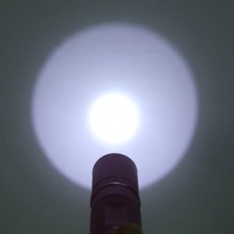 TONGMING CREE XPE LED 5W 300LM MINI FLASHLIGHT (ROSE MADDER)