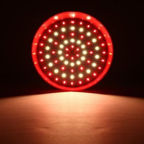 LD - SS24 E27 24W 2160LM 5730 SMD LED FRUIT PENDANT LIGHT PORK LAMP (RED)