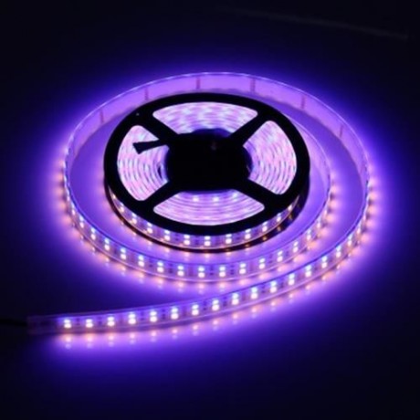 5M DOUBLE ROW 5050 SMD 600 RGB WHITE STRIP LIGHT WATERPROOF LED FLEXIBLE LAMP (BLACK)