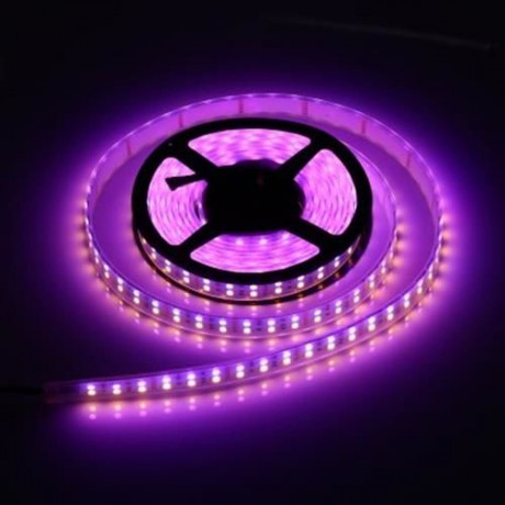 5M DOUBLE ROW 5050 SMD 600 RGB WHITE STRIP LIGHT WATERPROOF LED FLEXIBLE LAMP (BLACK)