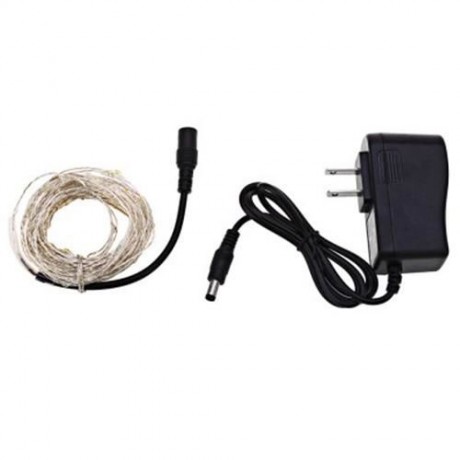 DC 6V 10M 100 LEDS WATERPROOF STRING LIGHT (COOL WHITE LIGHT)