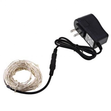 DC 6V 10M 100 LEDS WATERPROOF STRING LIGHT (COOL WHITE LIGHT)