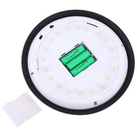 2W 160LM 20 LEDS SOLAR POWERED PUMPKIN LAWN LAMP FOR OUTDOOR (BLACK)