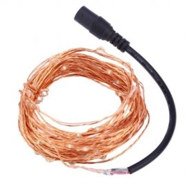 DC 6V 10M 100 LEDS COPPER STRING LIGHT WATERPROOF LED LAMP (COOL WHITE LIGHT)
