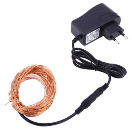 DC 6V 10M 100 LEDS COPPER STRING LIGHT WATERPROOF LED LAMP (COOL WHITE LIGHT)