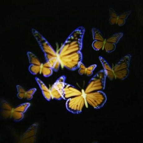 LIGHTME 100 - 240V 4W LED WATERPROOF COLORFUL BUTTERFLY LIGHT (BLACK)