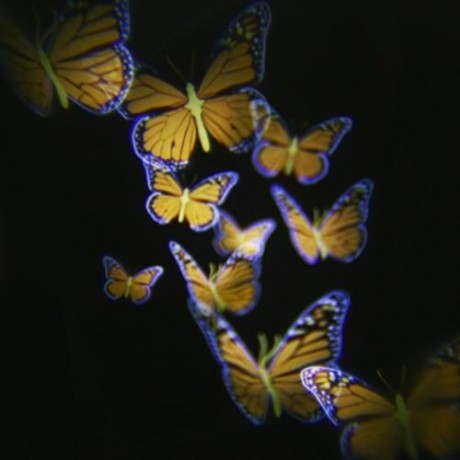 LIGHTME 100 - 240V 4W LED WATERPROOF COLORFUL BUTTERFLY LIGHT (BLACK)