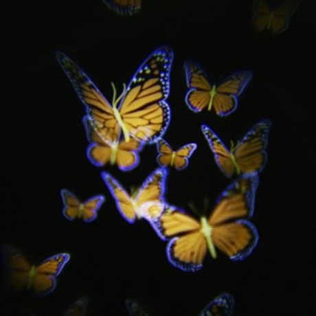 LIGHTME 100 - 240V 4W LED WATERPROOF COLORFUL BUTTERFLY LIGHT (BLACK)