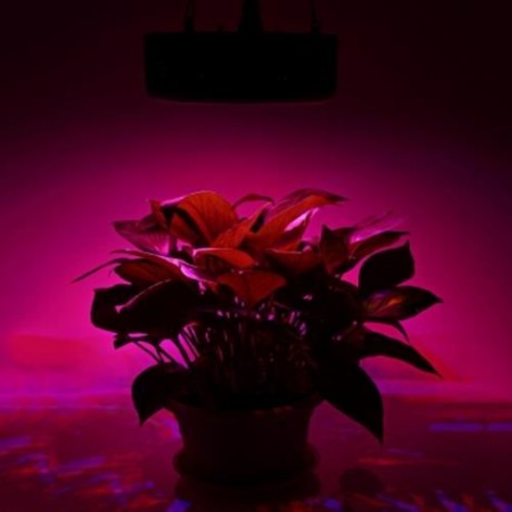 96W ( TRUE 50W ) UFO 32 LEDS FULL SPECTRUM GROW LIGHT INDOOR HYDROPONIC LIGHTING (BLACK)