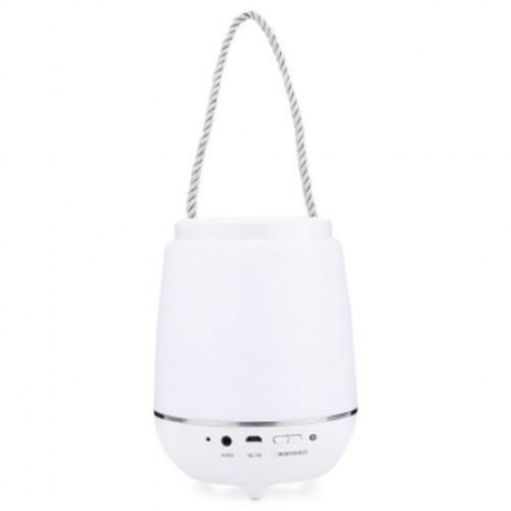 CBZ - 001 PORTABLE DIMMING LED COLORFUL MUSIC NIGHTLIGHT (WHITE)
