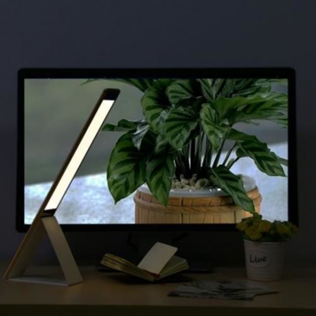 2 IN 1 USB LED EYE PROTECTION LIGHT TOUCH CONTROL LAMP WITH MIRROR (PINK)