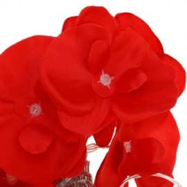 4M 20 LEDS FLOWER FAIRY STRING LIGHT USB CHARGING DECORATION LAMP (RED)