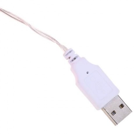 4M 20 LEDS FLOWER FAIRY STRING LIGHT USB CHARGING DECORATION LAMP (RED)